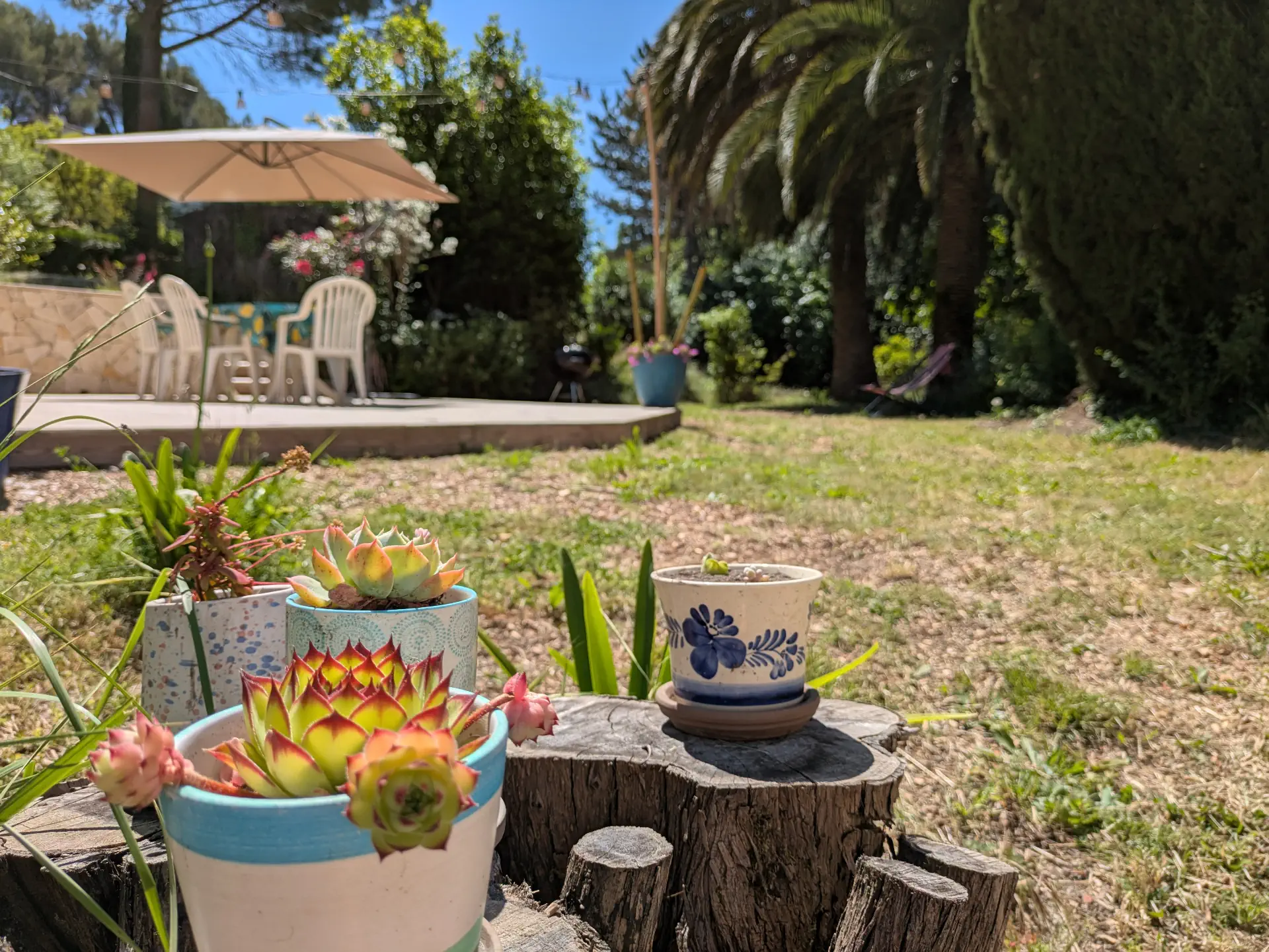 Mas Élise garden terrace with succulents